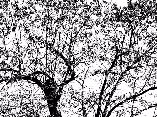 Item #13665938074563914331498291329920780757136253607588816979915017127679018139649 Media