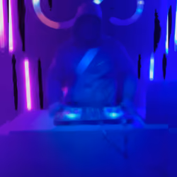 DJ Collins 500