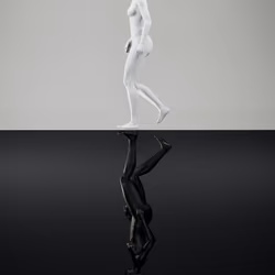 Shadow