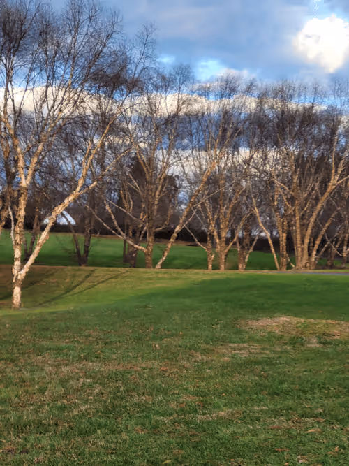 Item #61051240571971779841838649405693456424568018504308900476674196526726421413889 Media