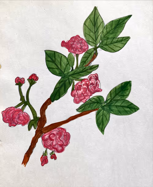 Item #68143307672376955642190656147672608103147428447651990360789110252187133411329 Media