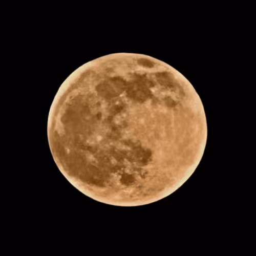 Item #101983409700396166080613188018216707096235636634703201961680544324791885103105 Media