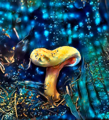 Item #98828088198769885069129805652987605738903563667474416042030428814817307394049 Media