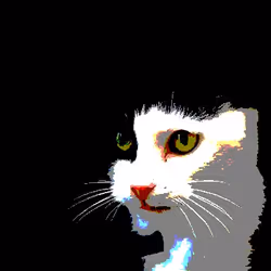 23538819986925566434507765811444276093104658907602947149672917288831858769921