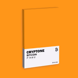 The Cryptones - Bitcoin P14-8 U 