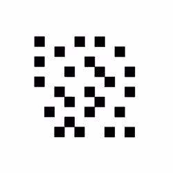 25 squares