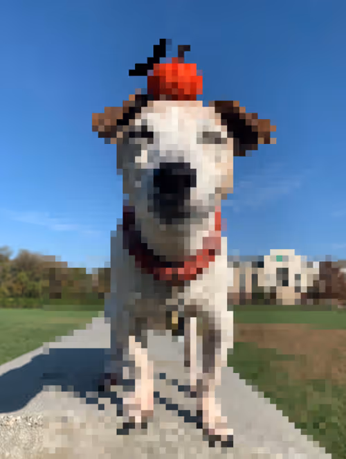Item #91949707330160320136515942524554217330844690778705415103136322563060948533249 Media