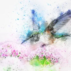 #16 Hummingbird