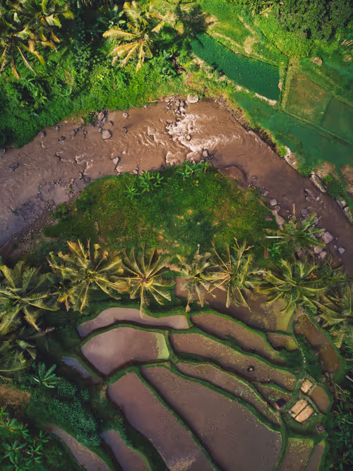 Item #112723081551128241243885468627012393474232760993682910355502264229735641907201 Media