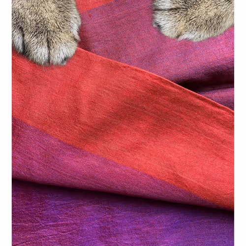 Ithinkyoushouldpaws