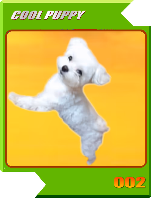 Item #21477548388787063266658748687199700189937005018840532589754440343641342869505 Media