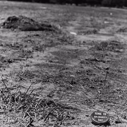 103869953884735727563221393256320645863605690120870363676987596900501798518785