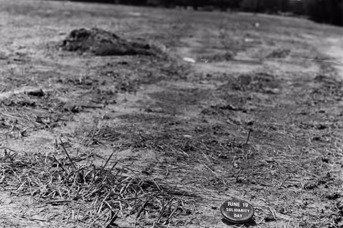 Item #103869953884735727563221393256320645863605690120870363676987596900501798518785 Media