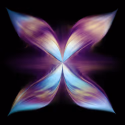 Decadence (17K) - Digital NFT - Paradiso Collection - Pete Rey Fine Art