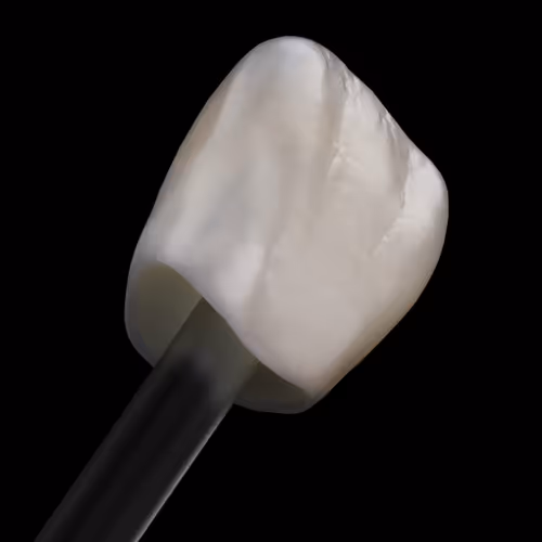 Item #62232289940205459480907166310422704462499916562185049757007232059913992667137 Media