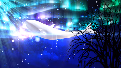 Item #34407012467013264369072826680281558624243883765584913843852975236470385147905 Media