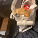 60977562429518979482397603443322443090286382740301171446183380419569233428481