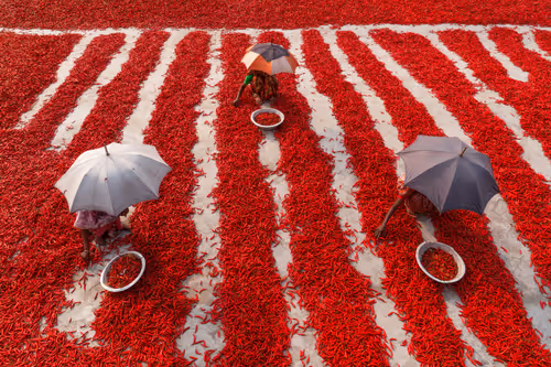 Item #54498339750312629147900213793127286863305084837877265024526474299575730438145 Media