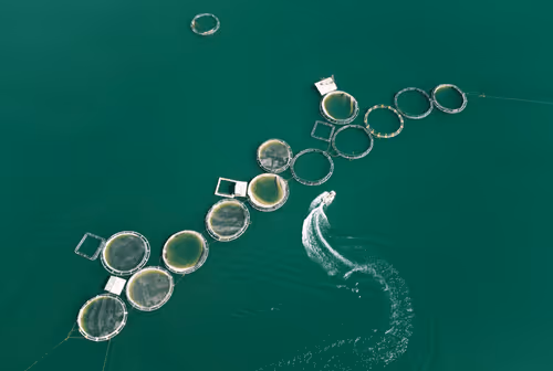 GulinYigiter Collection - old - pH6HdoXAqU