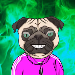 85536923797864075655485684241418953431230894352078393540716039025959983120385