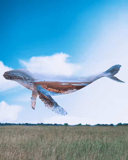 Item #5120042332681476466632520770121700592134821440612237730621647068423115505665 Media