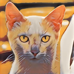 Cat Mone  #17