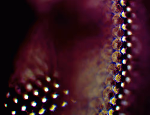 Item #71646257518770613568983710813551014237803002136866425209291833837178075480065 Media