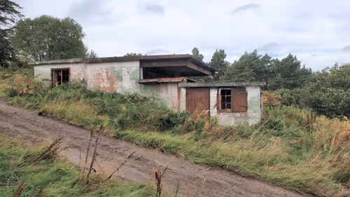 Item #13473500973687785898796463285955460631407349614781281766798596468423971045377 Media