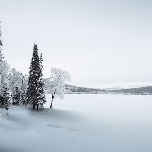 Frozensilence S3h2ODH2c6