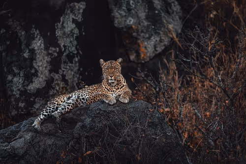 Item #46146454175190830687847236221543248864679735900060228179798027775900462874625 Media