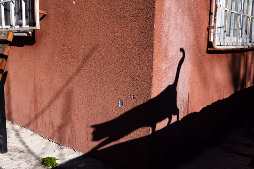 Item #45698053960438807051727633621105073210005053048443120307747772238030287405057 Media