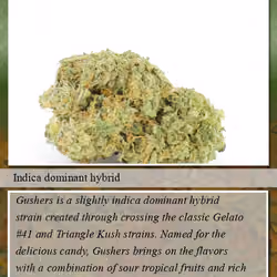 Gushers