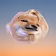 62813168023896276131250590358150642258630690707842472615223690306869348270081