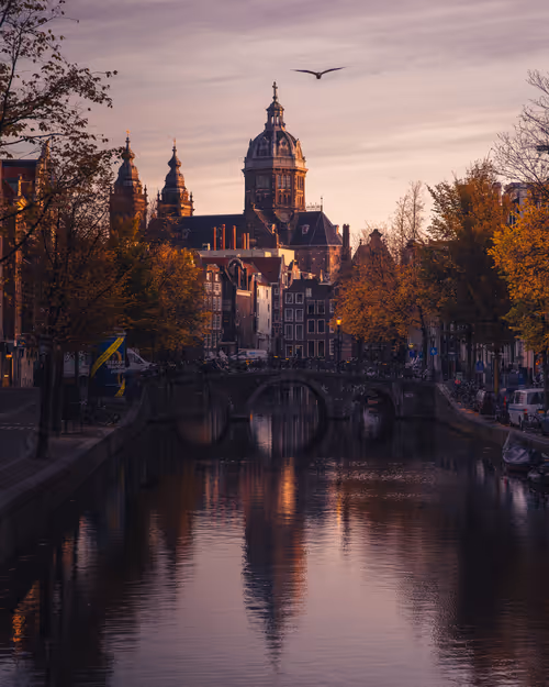 Item #14416656700475663864726672344569766568452912279528818547653479139527727513601 Media