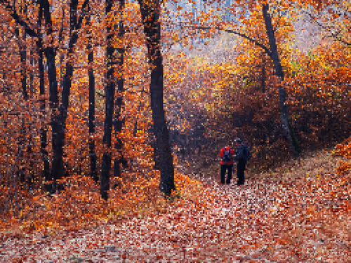 Item #20509465438609277551874808861244890758591647001332639405873676883611636203620 Media