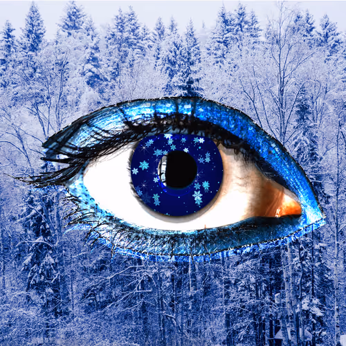 TheCryptory Collection