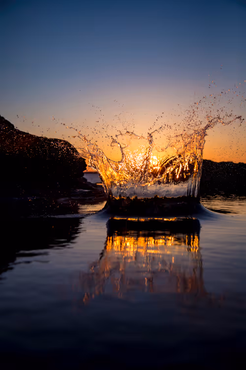 Item #111174009616639200000012101968861275422099781399944675221188828362496001703937 Media