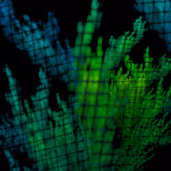 In the tall grass #4