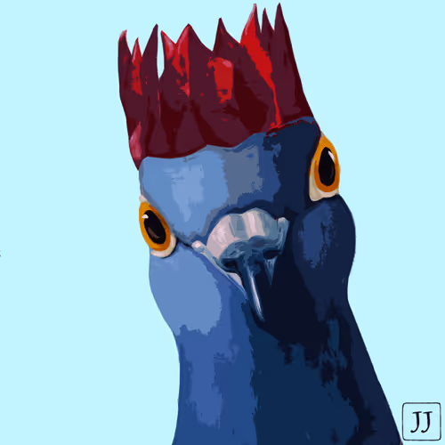 Theartypigeon Collection YpUBGEUwOA