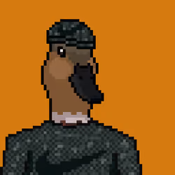 Duck #199