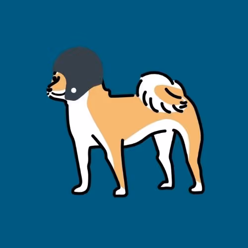uchilab-inu