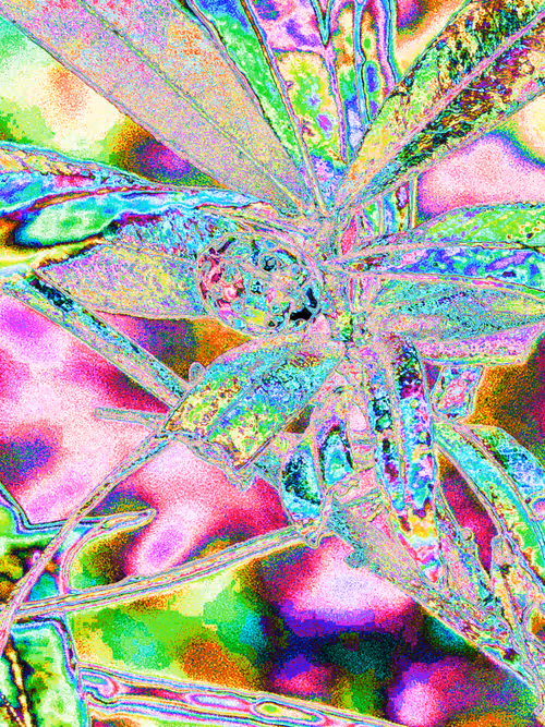 Item #110989330100556245645671416955261820038772575588316729466901671036231815790593 Media