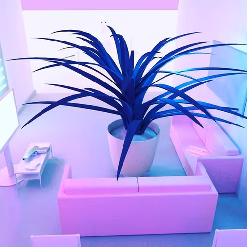 EliaszLOL Collection