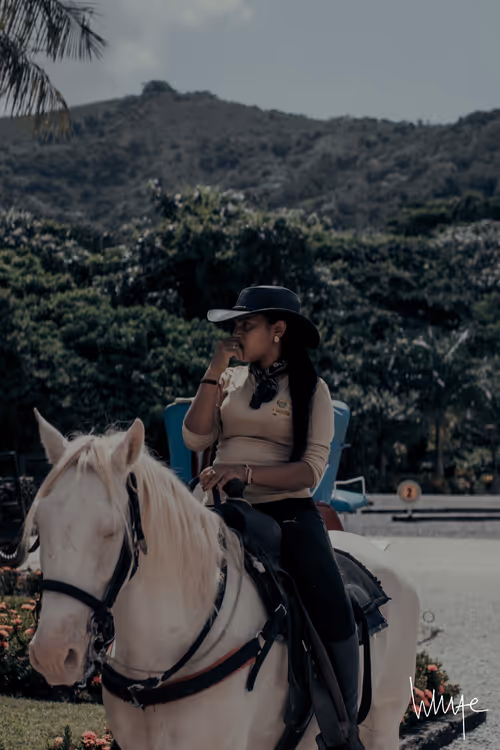 Item #74875889141145645292753782198545527001710615385351102791311981717632571146241 Media