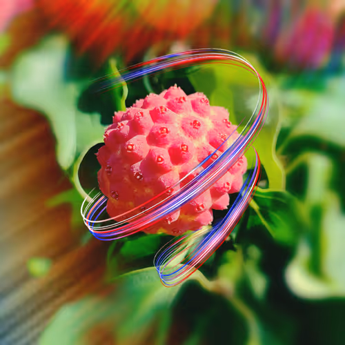 Phlowers Art
