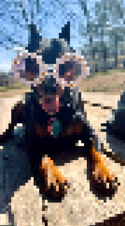 Item #91949707330160320136515942524554217330844690778705415103136322565259971788801 Media