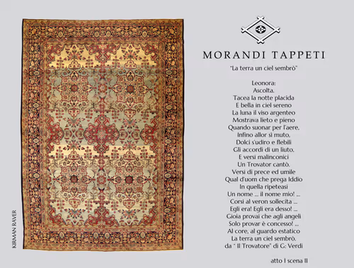 Item #65467136957988920710235633463726450305534214381016998553397600081466588397578 Media