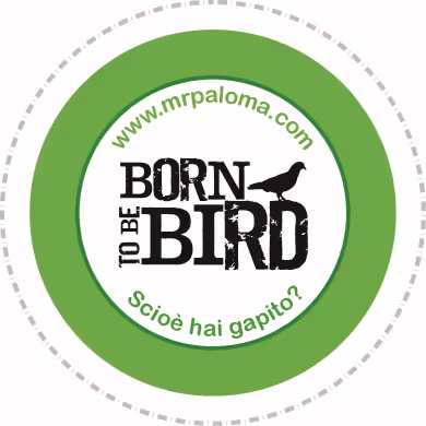 Item #101510434841716486482551898715217342780324920363366653536801312956223770853377 Media