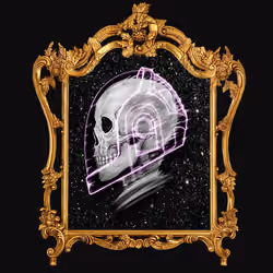 Skull picture