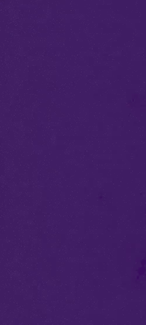 Item #30391928114584048006899817375192481942008769751217023685506291058030470496257 Media